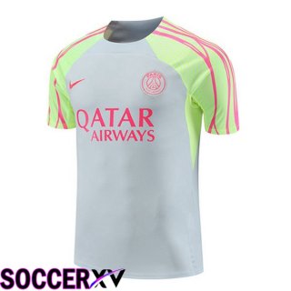 Paris PSG Training T Shirt Grey 2023/2024