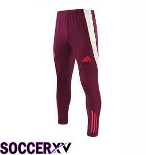 Bayern Munich Training Pants Red 2024/2025