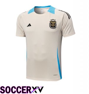 Argentina Training T Shirt Yellow 2024/2025