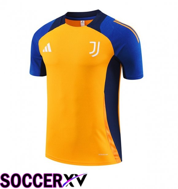 Juventus Training T Shirt Yellow 2024/2025