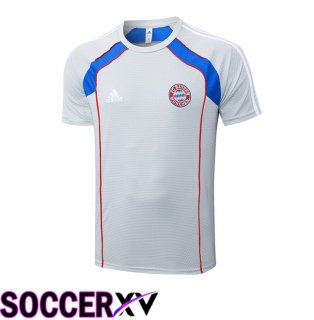 Bayern Munich Training T Shirt Grey 2025/2026