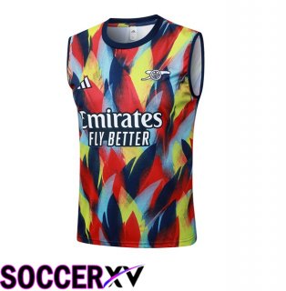 Arsenal Gilet Soccer Red Blue 2025/2026