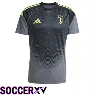 Juventus Goalkeeper Soccer Jersey Grey 2025/2026