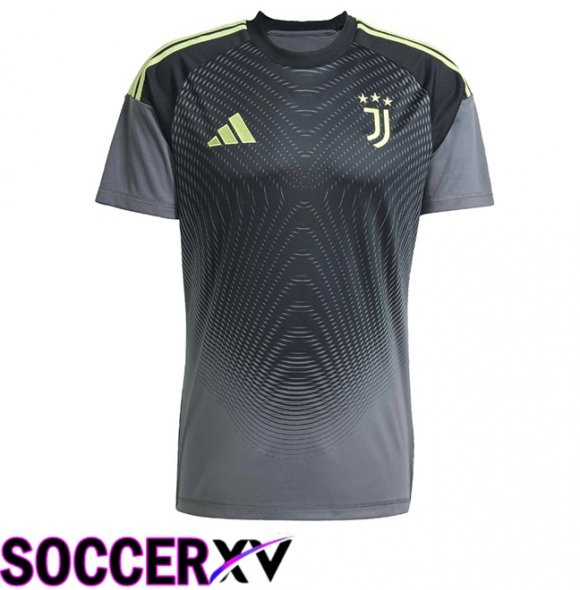 Juventus Goalkeeper Soccer Jersey Grey 2025/2026