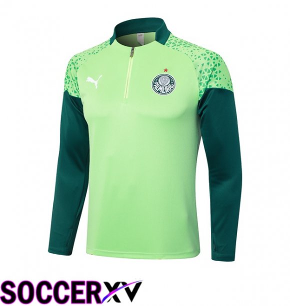 Palmeiras Training Sweatshirt Green 2024/2025