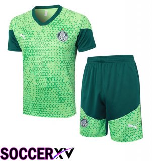 Palmeiras kit Training T Shirt + Shorts Green 2024/2025