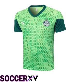 Palmeiras Training T Shirt Green 2024/2025