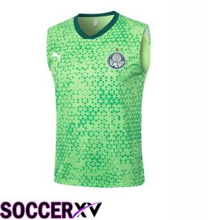 Palmeiras Soccer Vest Green 2024/2025