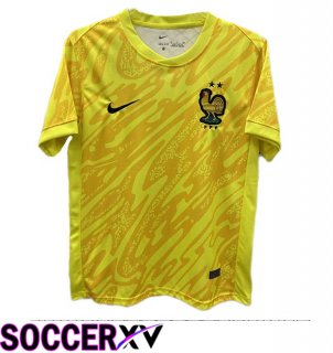 France Goalkeeper Soccer Jersey Yellow 2024/2025