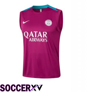 Paris PSG Soccer Vest Purple 2024/2025