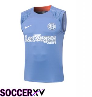 Inter Milan Soccer Vest Grey 2024/2025