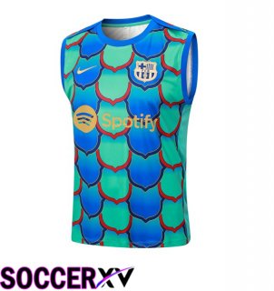 FC Barcelona Soccer Vest Green Blue 2024/2025