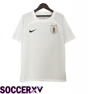 Uruguay Soccer Jersey Special Edition White 2024/2025