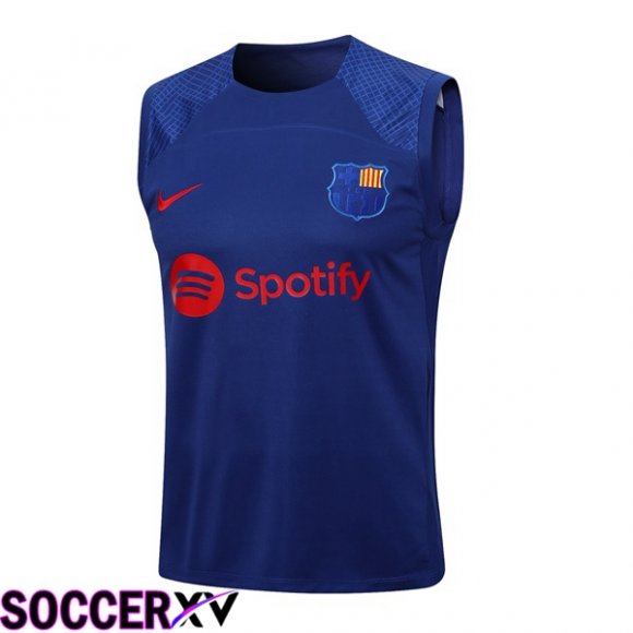 FC Barcelona Soccer Vest Blue 2023/2024