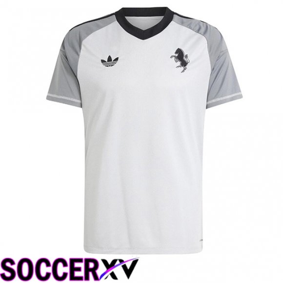 Juventus Goalkeeper Soccer Jersey White 2024/2025