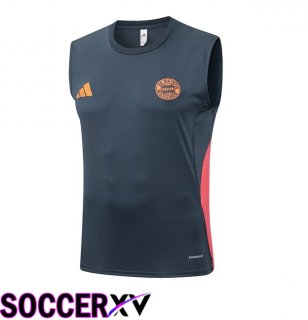 Bayern Munich Soccer Vest Grey 2025/2026
