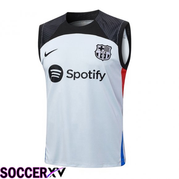 FC Barcelona Soccer Vest Grey 2023/2024