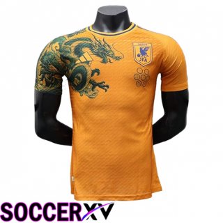 Japan Soccer Jersey Special Edition Orange 2024/2025