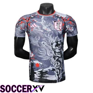 Maillot Equipe Foot Japon Special Edition Gris 2025/2026