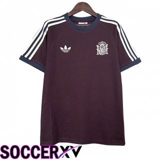 Spain Retro Soccer Jersey Special Edition Brown