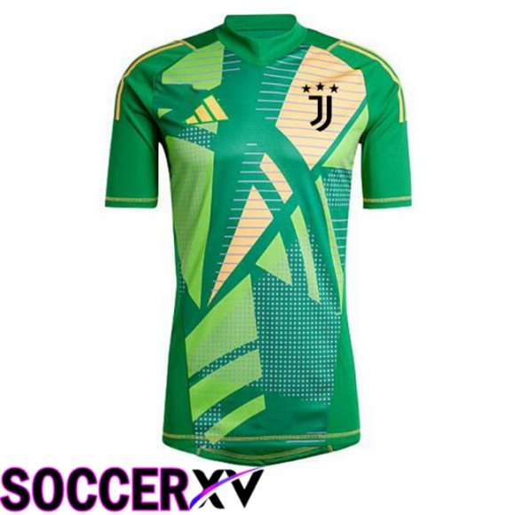 Juventus Goalkeeper Soccer Jersey Green 2024/2025