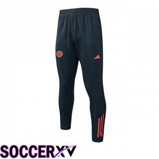 Pantalon Foot Bayern Munich Gris 2025/2026