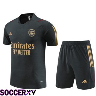 Arsenal Training T Shirt + Shorts Grey 2023/2024