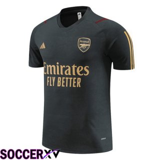 Arsenal Training T Shirt Grey 2023/2024