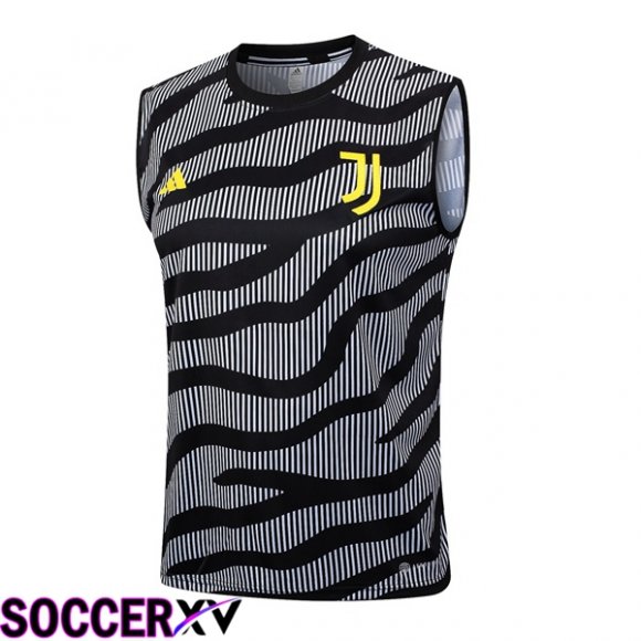 Juventus Soccer Vest Grey 2023/2024