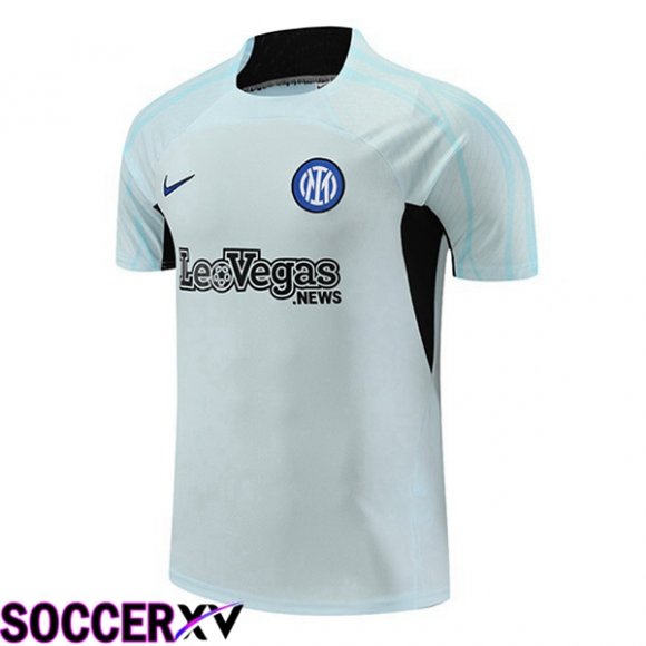 Inter Milan Training T Shirt Grey 2023/2024