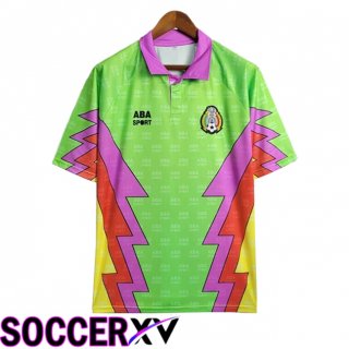 Mexico Retro Goalkeeper Soccer Jersey Green/Purple