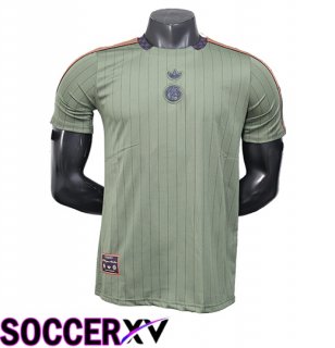 Bayern Munich Soccer Jersey Special Edition Green 2025/2026