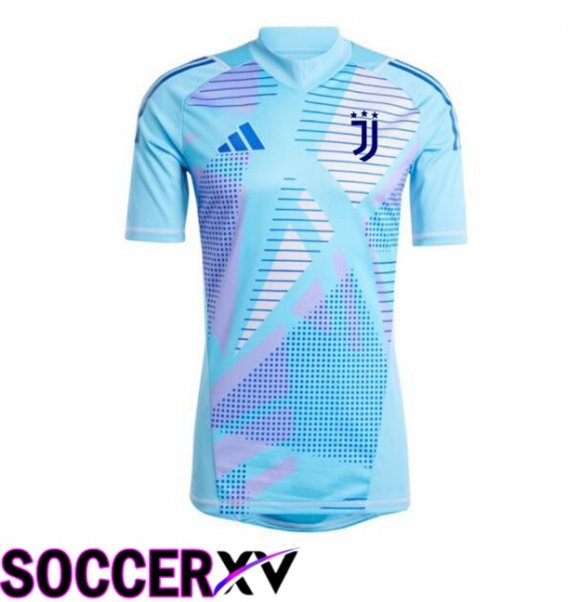 Juventus Goalkeeper Soccer Jersey Blue 2024/2025