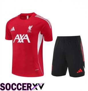 FC Liverpool kit Training T Shirt + Shorts Red 2025/2026