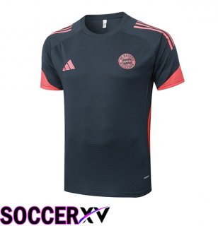 Bayern Munich Training T Shirt Grey 2025/2026