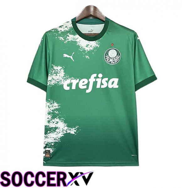 Palmeiras Soccer Jersey Special Edition Green 2024/2025