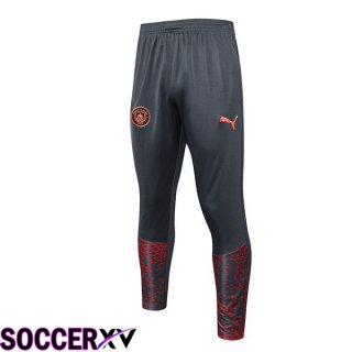 Manchester City Training Pants Grey 2023/2024