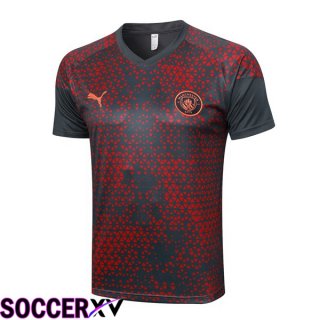 Manchester City Training T Shirt Red Grey 2023/2024