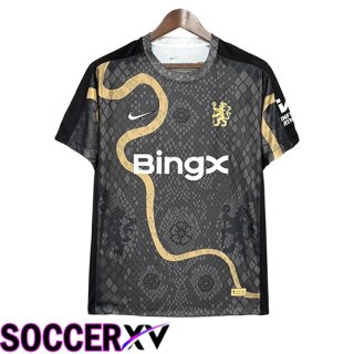 Chelsea Soccer Jersey Special Edition Grey 2025/2026