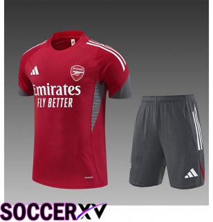 Arsenal Kids kit Training T Shirt Red/Grey 2025/2026