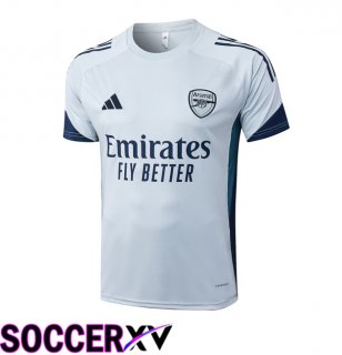 Arsenal Training T Shirt Grey 2025/2026