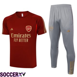 Arsenal Training T Shirt + Shorts Red 2023/2024