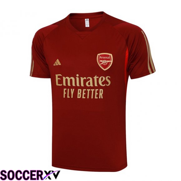 Arsenal Training T Shirt Red 2023/2024