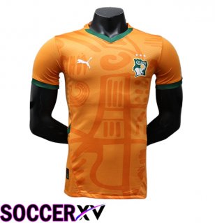 Lvory Coast Home Soccer Jersey 2024/2025