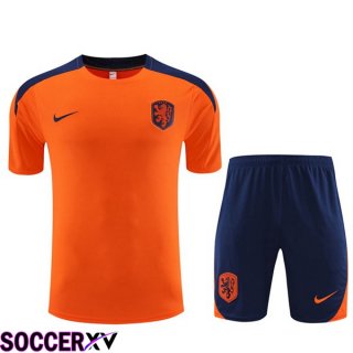 Netherlands Training T Shirt + Shorts Orange 2023/2024