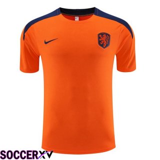 Netherlands Training T Shirt Orange 2023/2024