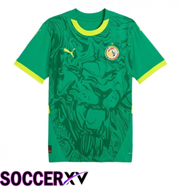 Sénégal Away New Soccer Jersey 2024/2025