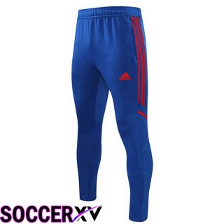 Olympique Lyon Training Pants Blue 2022/2023