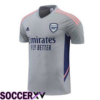 FC Arsenal Training T Jersey Grey 2022/2023