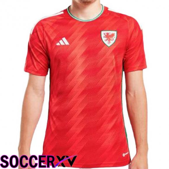 Galles Home Jersey Red World Cup 2022